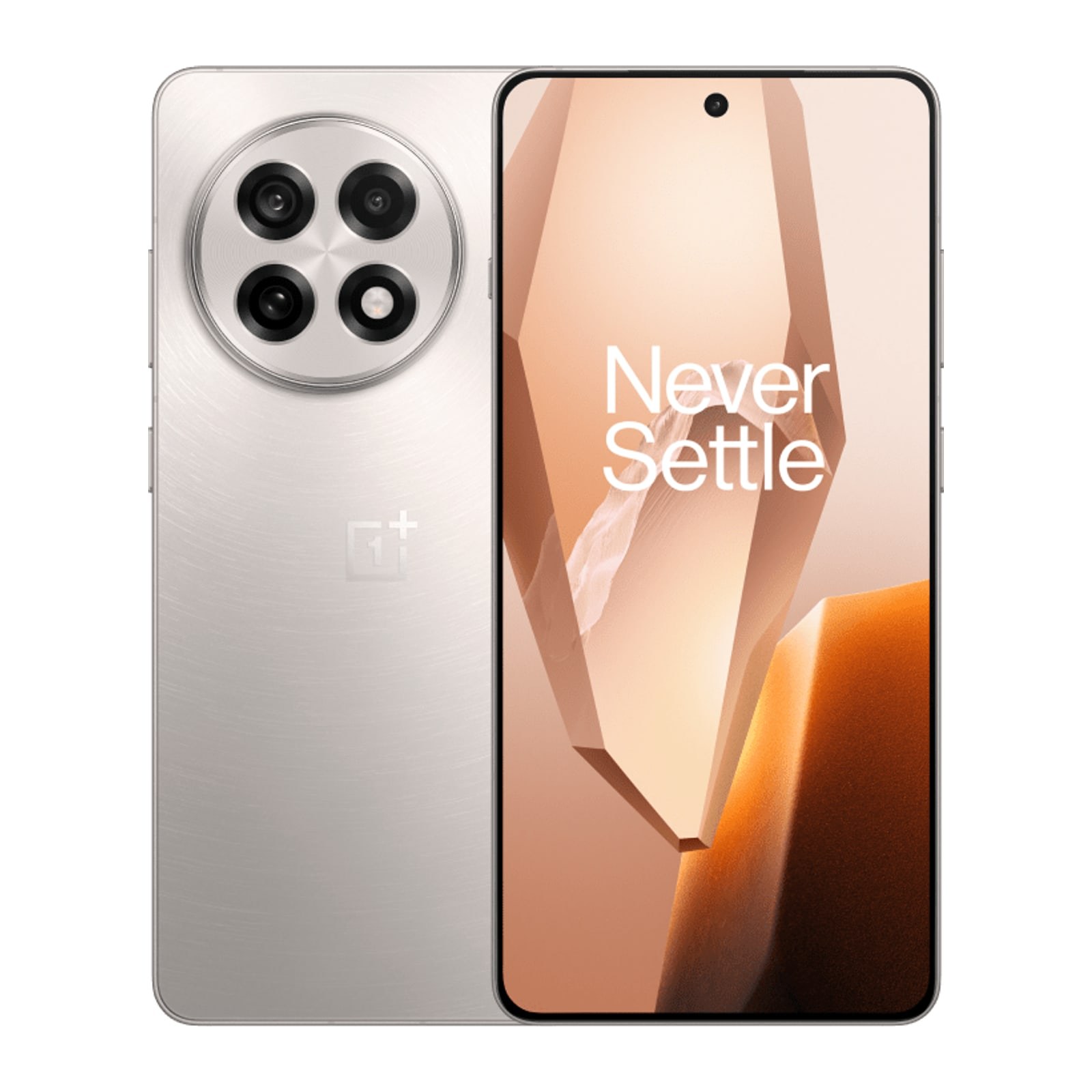 OnePlus 13R